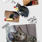 レス11番の画像サムネイル