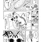 レス11番の画像サムネイル