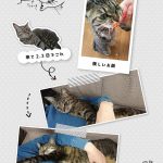 レス9番の画像サムネイル