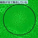レス5番の画像サムネイル