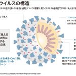 レス2番の画像サムネイル