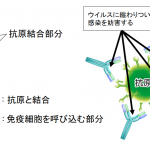 レス8番の画像サムネイル