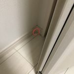 レス19番の画像サムネイル
