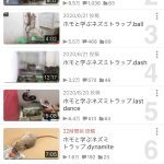 レス1番の画像サムネイル