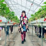 レス35番の画像サムネイル