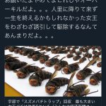 レス1番の画像サムネイル