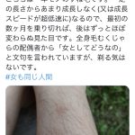 レス2番の画像サムネイル