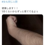 レス2番の画像サムネイル