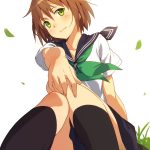 レス38番の画像サムネイル