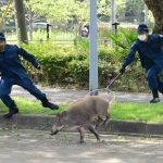 レス1番の画像サムネイル
