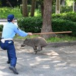 レス1番の画像サムネイル