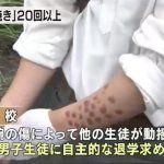 レス1番の画像サムネイル