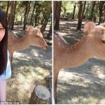 レス1番の画像サムネイル