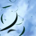 レス14番の画像サムネイル