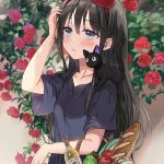 レス12番の画像サムネイル