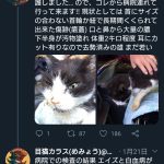 レス2番の画像サムネイル