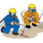 レス20番の画像サムネイル