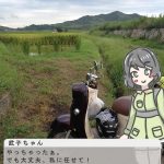 レス19番の画像サムネイル