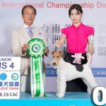 レス2番の画像サムネイル