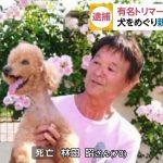 レス2番の画像サムネイル