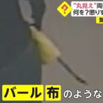 レス1番の画像サムネイル