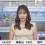 レス2番の画像サムネイル