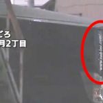 レス19番の画像サムネイル