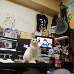 レス29番の画像サムネイル