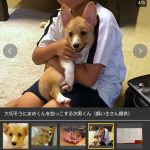 レス1番の画像サムネイル