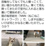 レス4番の画像サムネイル