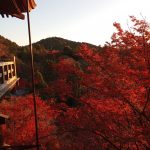 レス14番の画像サムネイル