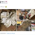 レス1番の画像サムネイル