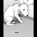 レス128番の画像サムネイル