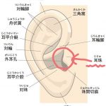 レス12番の画像サムネイル