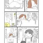 レス3番の画像サムネイル