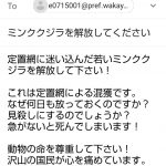 レス1番の画像サムネイル