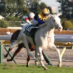 レス25番の画像サムネイル