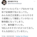 レス11番の画像サムネイル