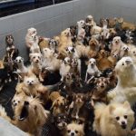 レス24番の画像サムネイル