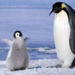 レス17番の画像サムネイル