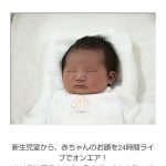 レス2番の画像サムネイル