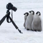 レス12番の画像サムネイル