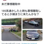 レス11番の画像サムネイル