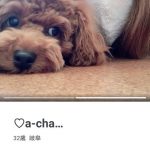 レス1番の画像サムネイル