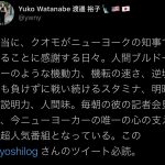 レス11番の画像サムネイル