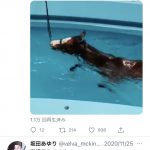 レス1番の画像サムネイル