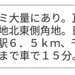 レス1番の画像サムネイル
