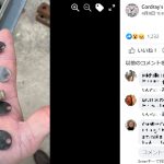 レス1番の画像サムネイル