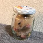 レス1番の画像サムネイル