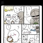 レス8番の画像サムネイル